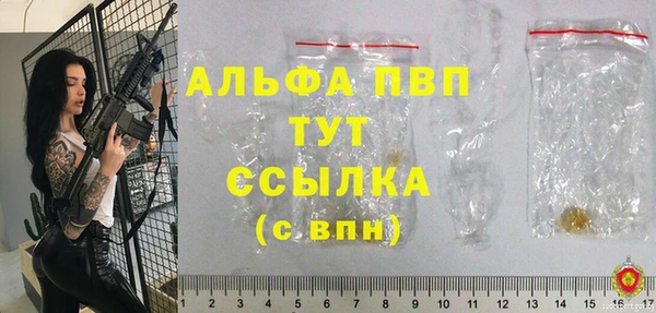 ECSTASY Бородино