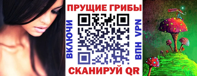 Галлюциногенные грибы Psilocybine cubensis Катайск
